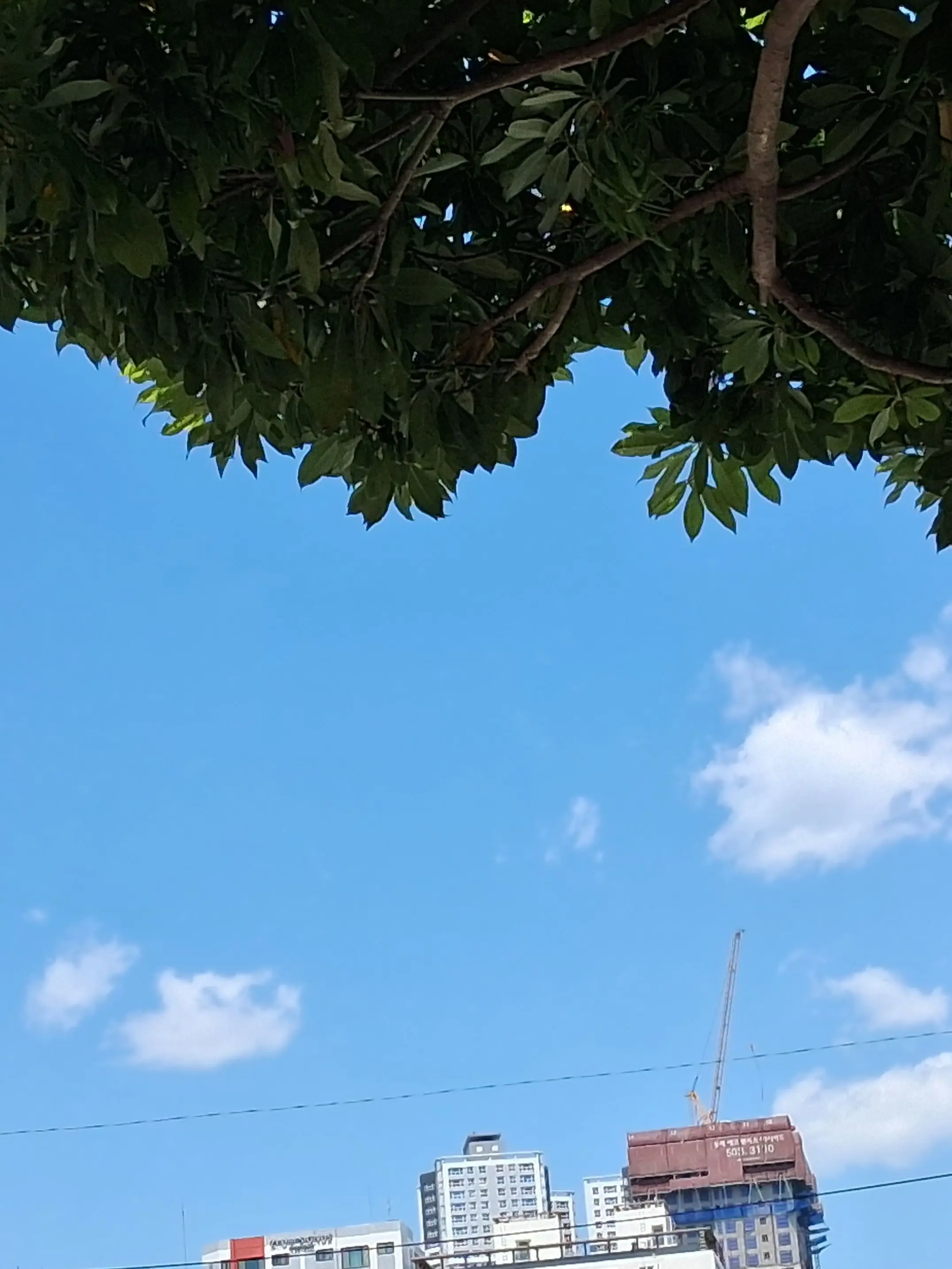 GBGBGBGBGB의 선지자님..울어요?