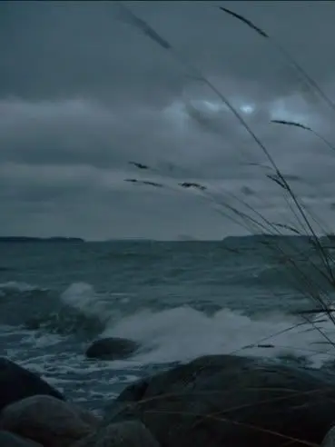 Letsmakealovelybaby의 The Sea