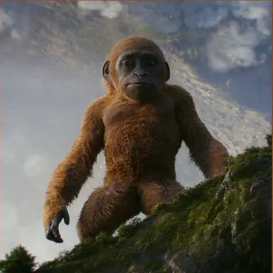 Profile image of 수코