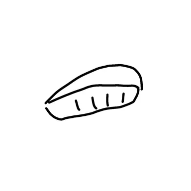 Profile image of 菊