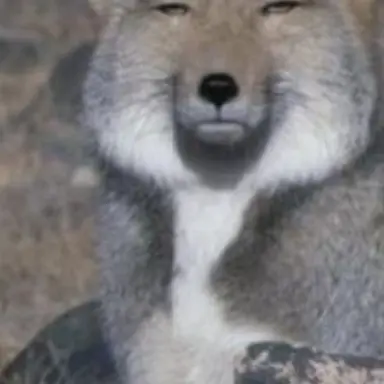 Profile image of 여우