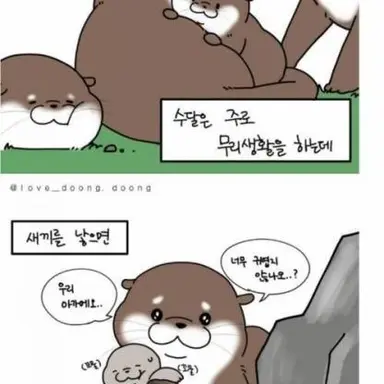 Profile image of 수달