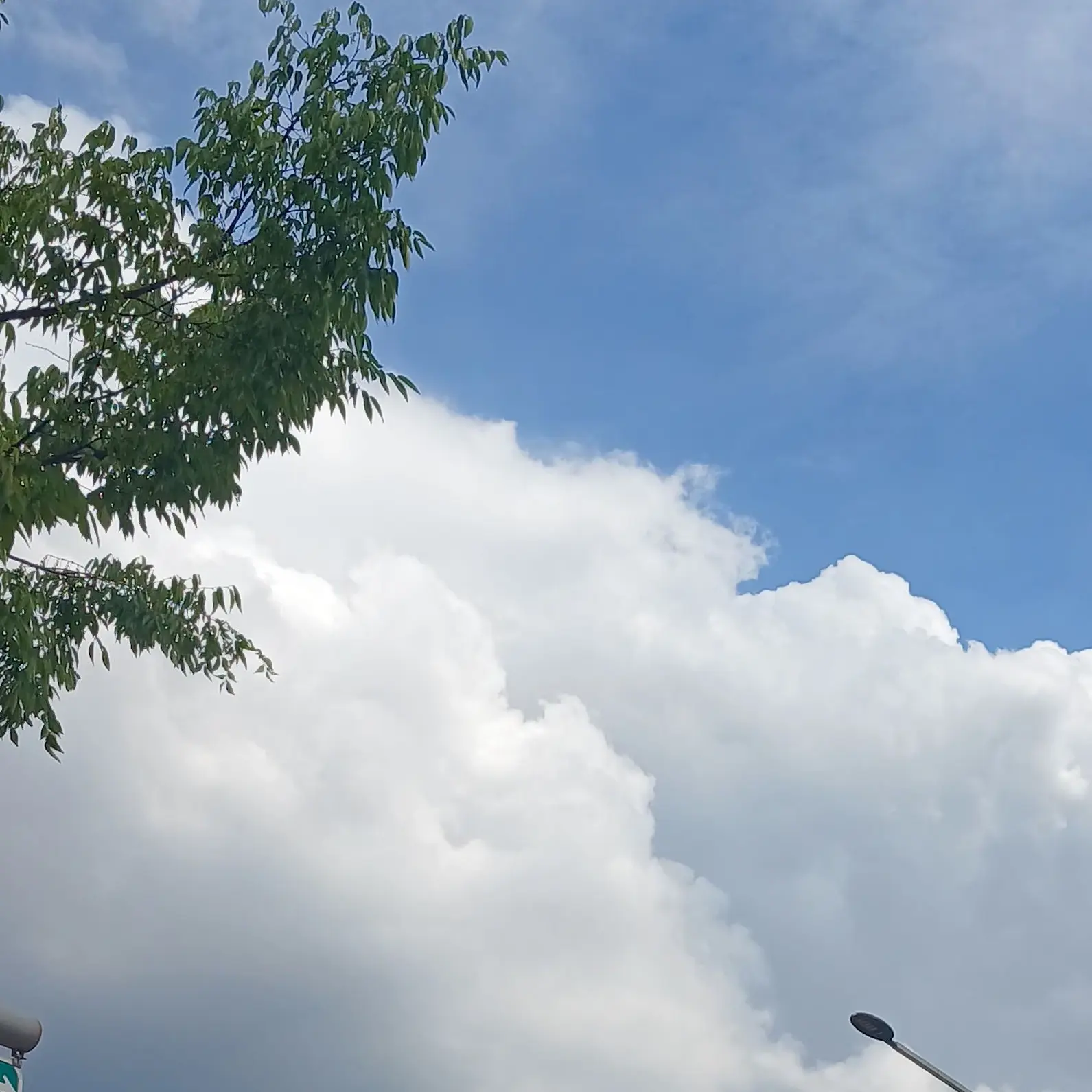 so_ra0968의 《夏空の金魚🪸☁️》