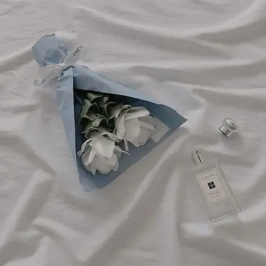 Profile image of 티푸