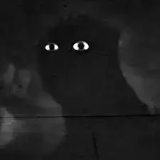 Profile image of Godzilla