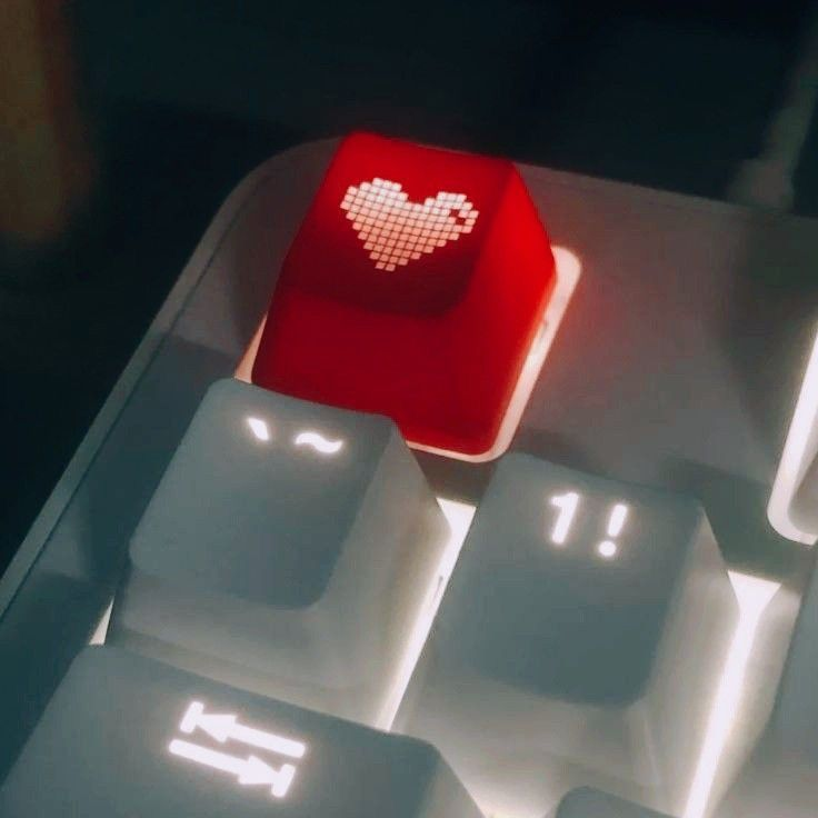 ғαrewell 대표 이미지