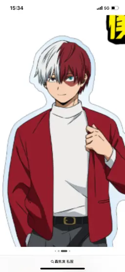 Profile image of Shoto Todoroki
