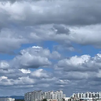 Profile image of 여우