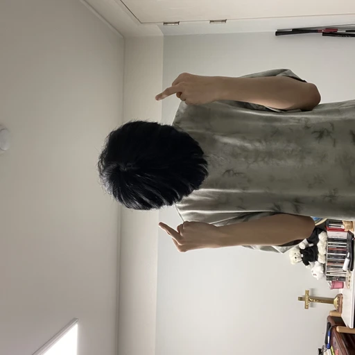 플레이트모