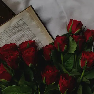 Profile image of 서라더