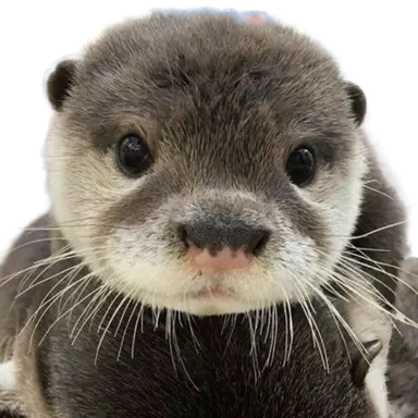 Profile image of 리수현