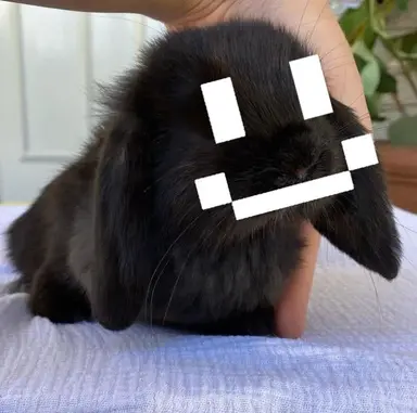 Profile image of TWIXXEL