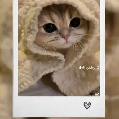 Profile image of 태안