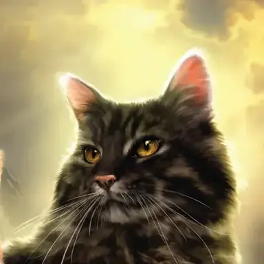 Profile image of 스톰퍼