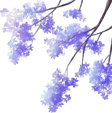 Profile image of 평학