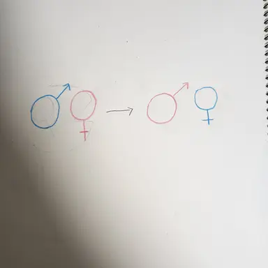 Profile image of 미술의날이밴트캐릭