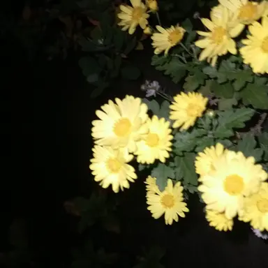 Profile image of 羽立太輔