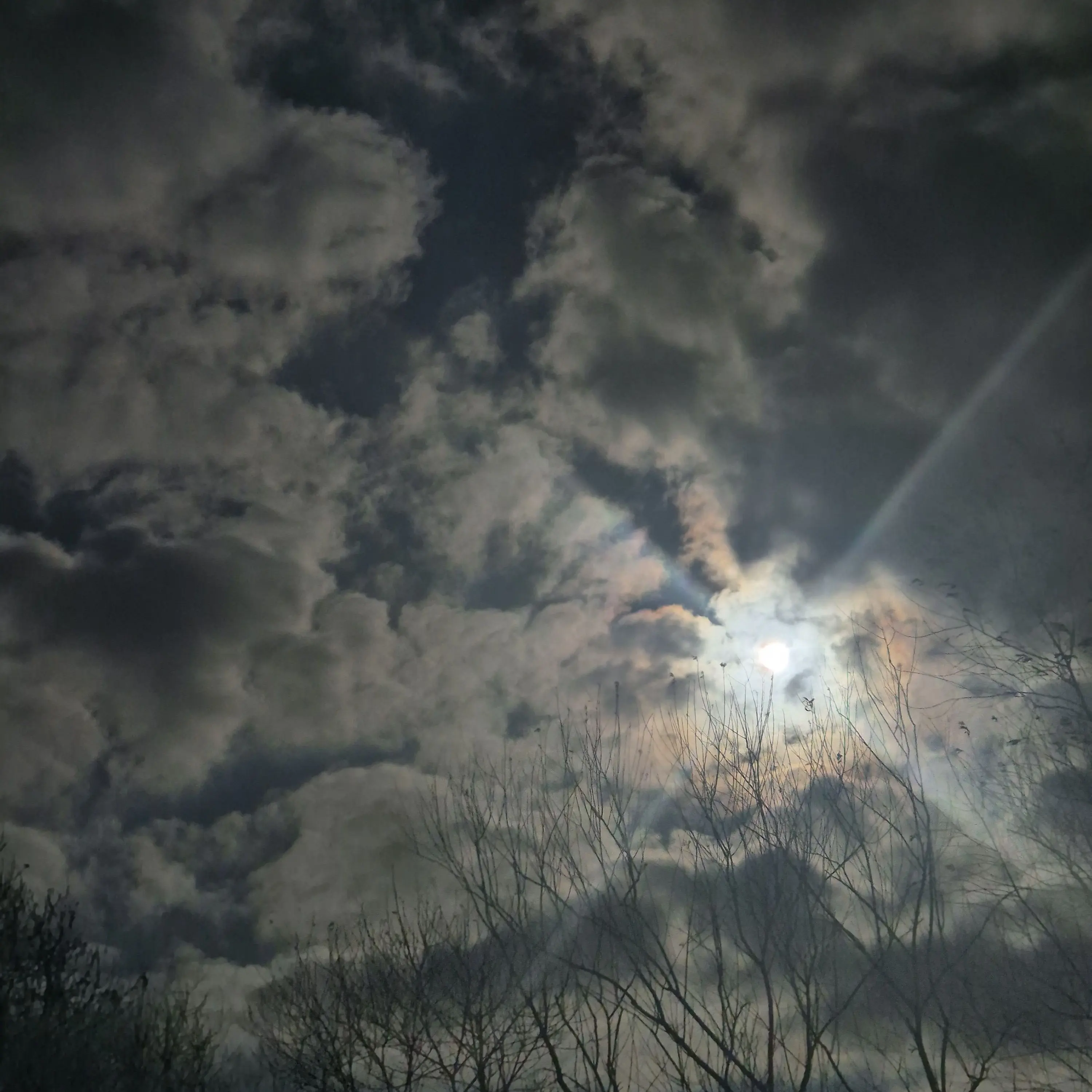 HuskyShop6305의 경위들