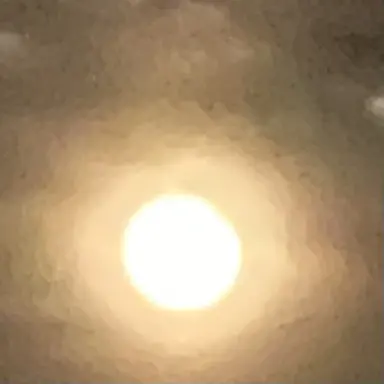 Profile image of 모양몬