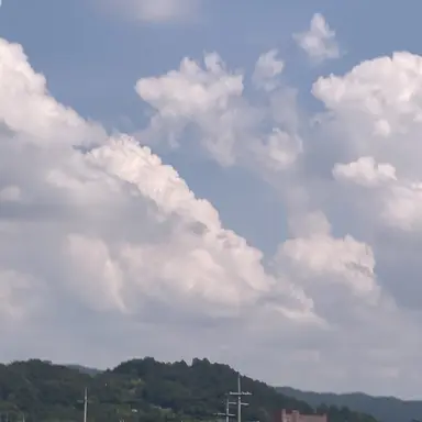 Profile image of 모찌엘