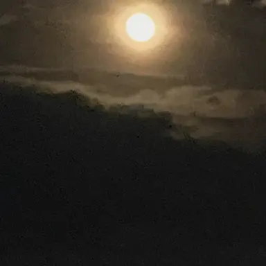 Profile image of 평학