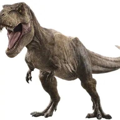 Profile image of 여우