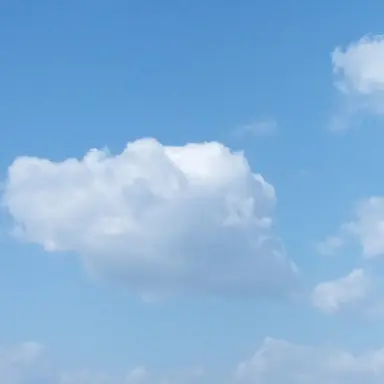 Profile image of 늑대