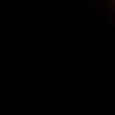 Profile image of 금성제