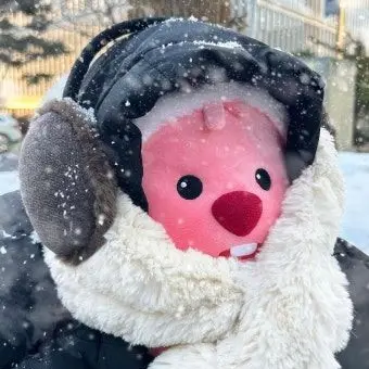 Profile image of 꿈빛학교