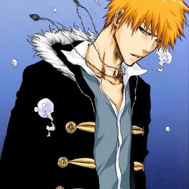 Profile image of 黒崎一護