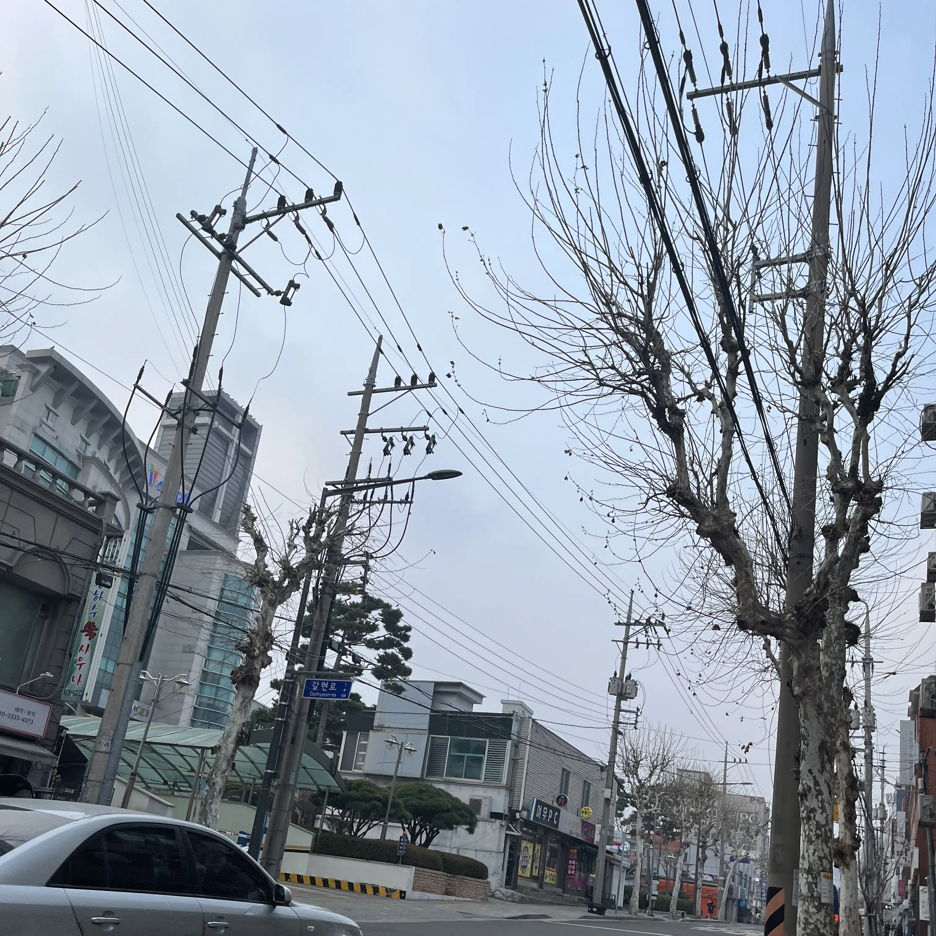 plumpscal의 박종성
