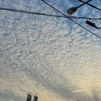 Profile image of 오뉴