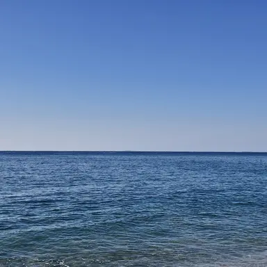 Profile image of 잭