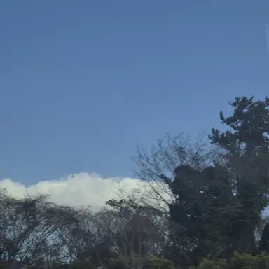 Profile image of 류