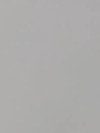 Osisaikou의 幼なじみ達が変態すぎる…（ブリ子あり）