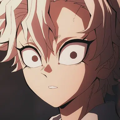 Profile image of 시나즈가와 사네미