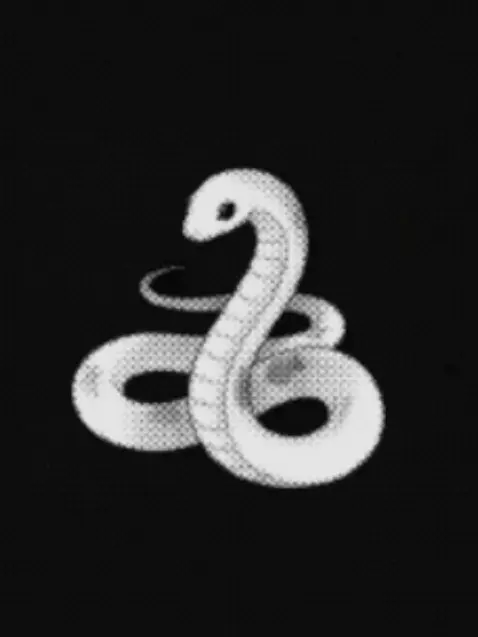 lonely6212의 The Serpent Groom!
