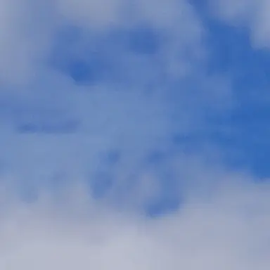 Profile image of 코쿠시보