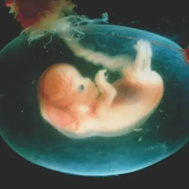 Profile image of 아기