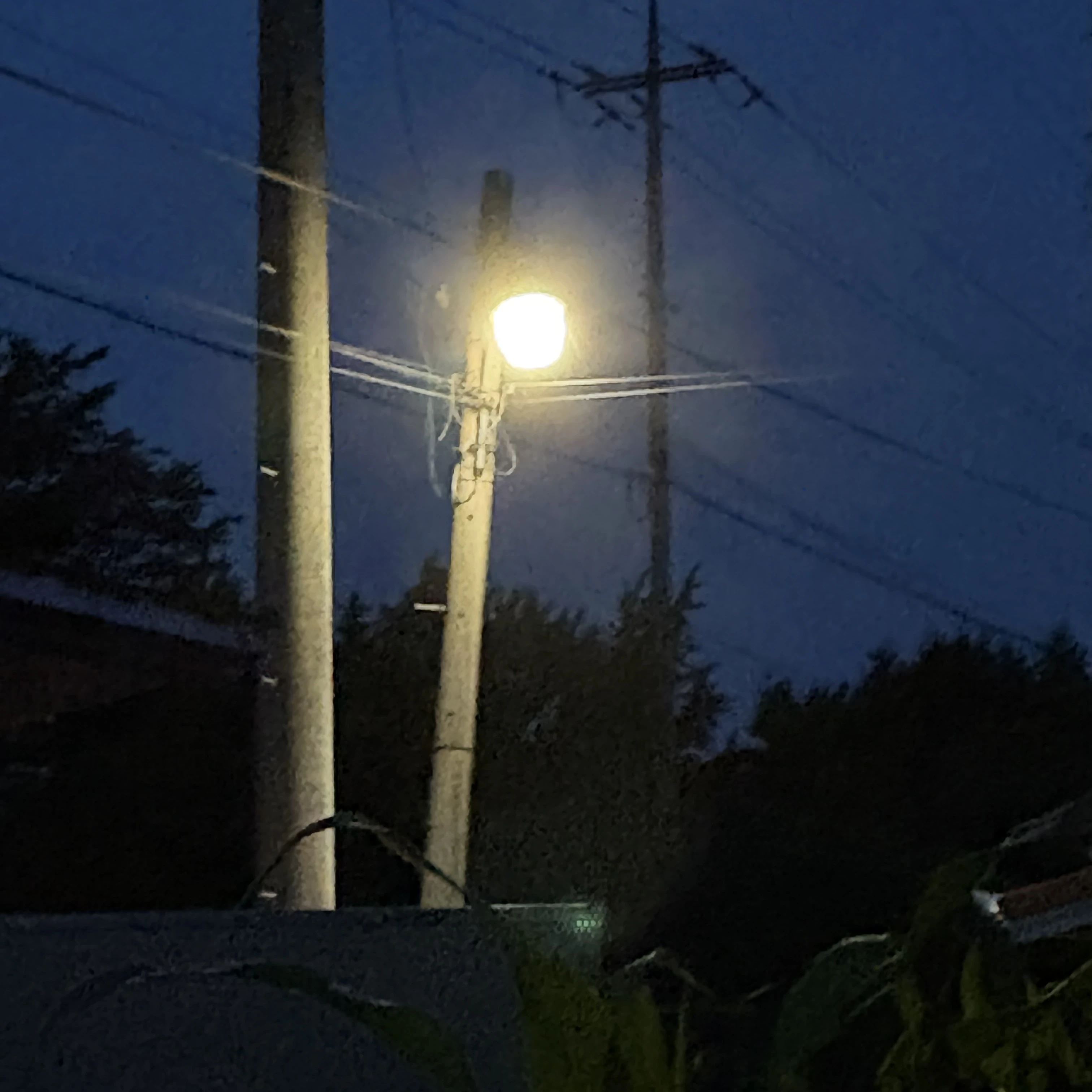 태헌