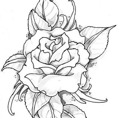 Profile image of 멜로우