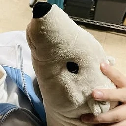 ジローちゃん