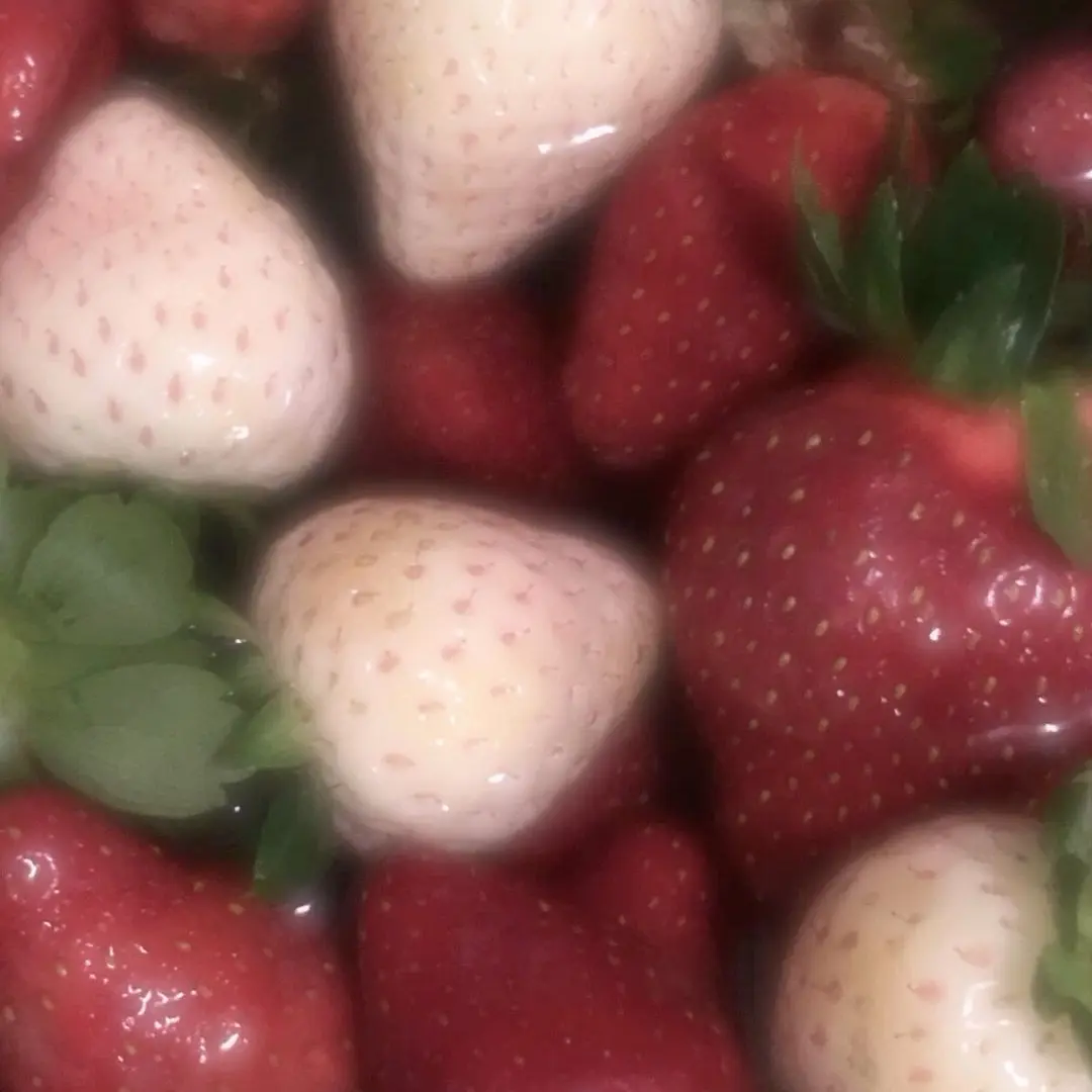 GruffPoco7093의 오시온