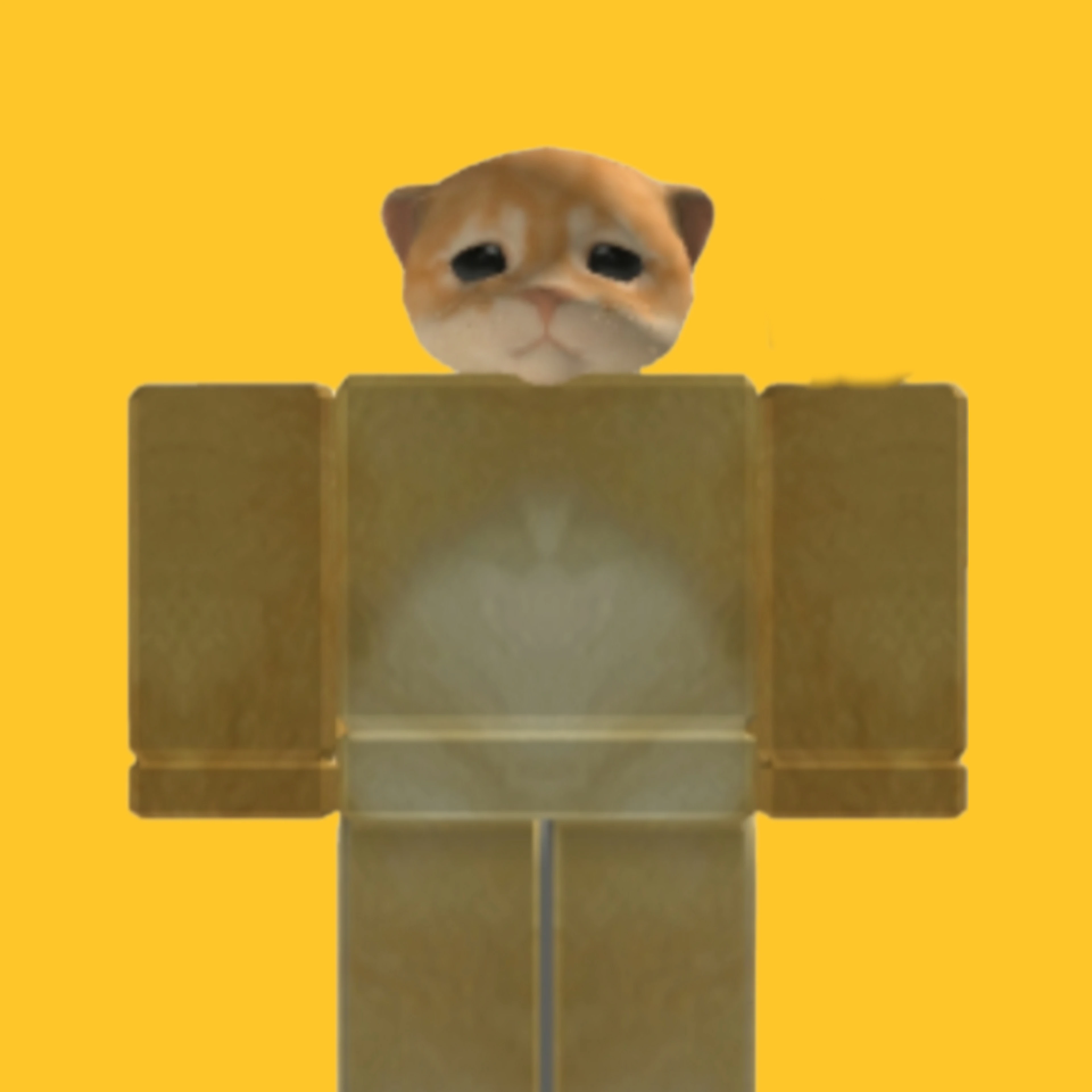 냥냥이