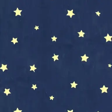 Profile image of ホシ