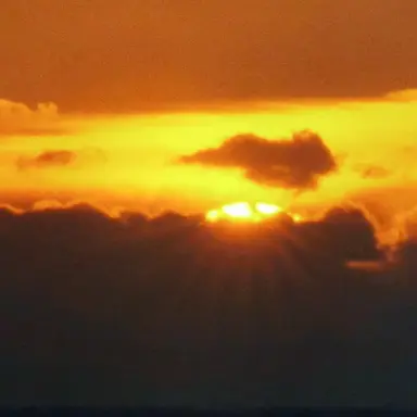 Profile image of 라유