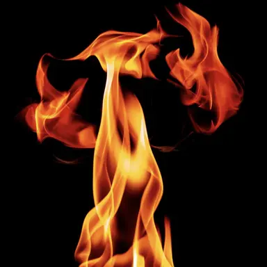 Profile image of 류