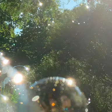 Profile image of 전다빈