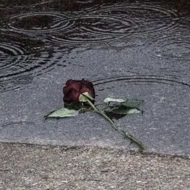 Profile image of 윤수현