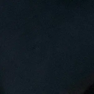 Profile image of 장한음